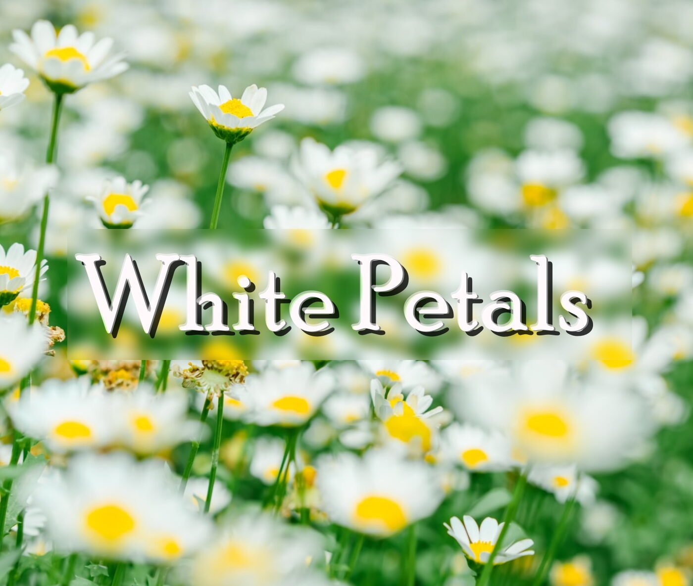 White Petals by Keys of Moon – Free Mp3 Download